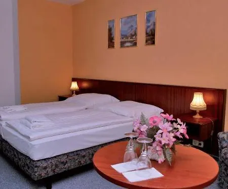 Hotel Alt-jocketa